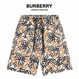 Picture of Burberry Pants Short _SKUBurberryM-3XLjdtxk2218925